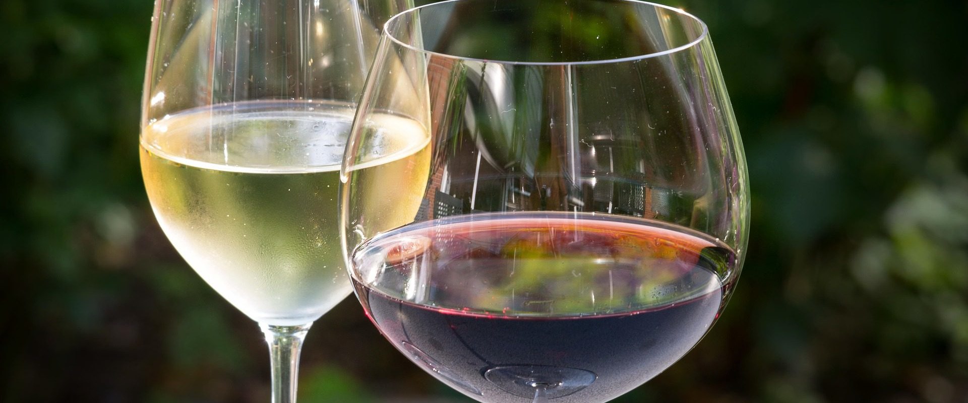 Is Chardonnay Sweet or Dry? How It Compares to High-Quality Red Wines