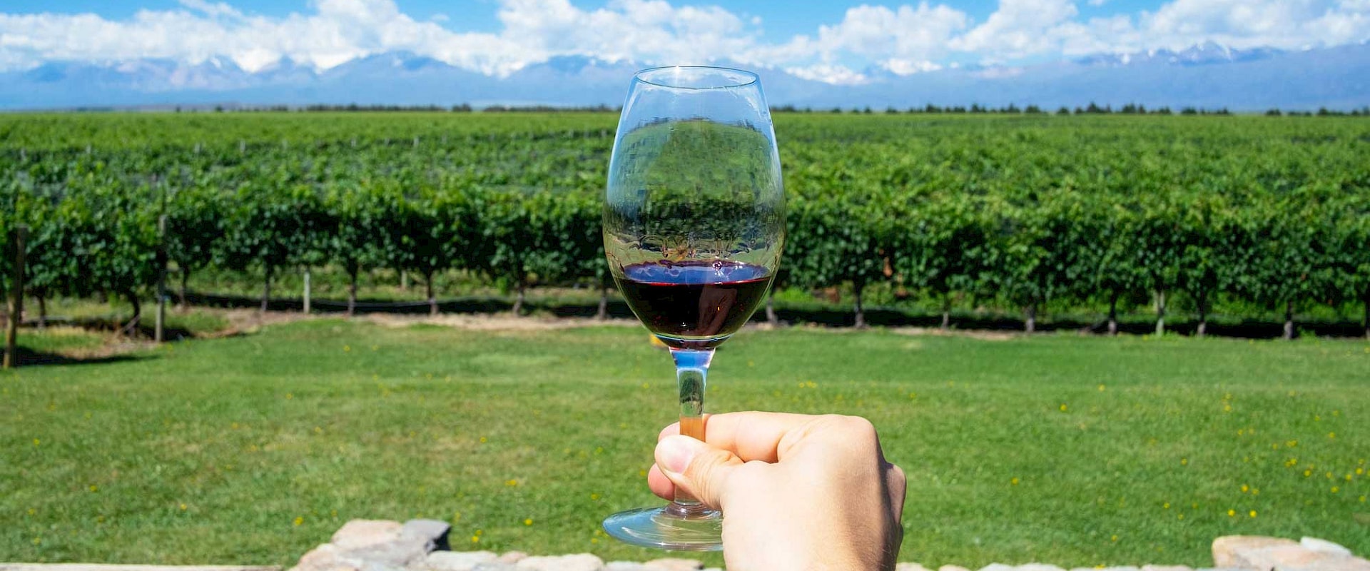 The Top Red Wines in America: A Wine Expert's Perspective