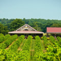 Exploring the Best Winery in Ojai CA: A Top Destination for Red Wine Enthusiasts