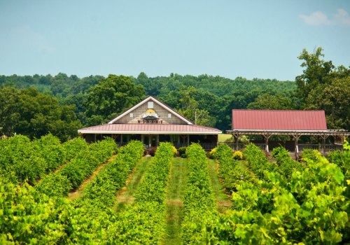 Exploring the Best Winery in Ojai CA: A Top Destination for Red Wine Enthusiasts